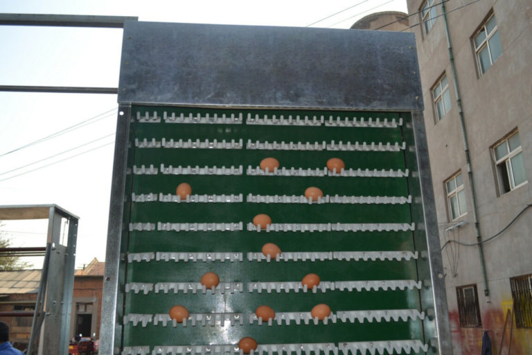 Egg sorting machine factory price The best of the milk pasteurizer