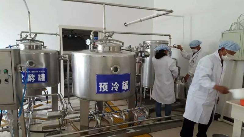 Yogurt production line equipment